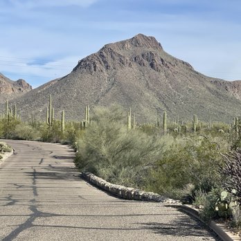 Gilbert Ray Campground - Campgrounds Near Me - Tucson, Arizona