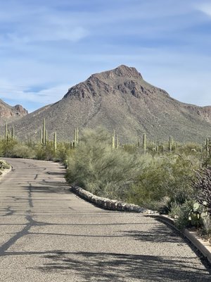 Gilbert Ray Campground by null