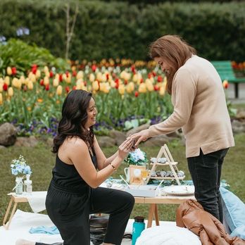 Paws & Picnics - Party & Event Planning Near Me Paws & Picnics - Party & Event Planning Near Me