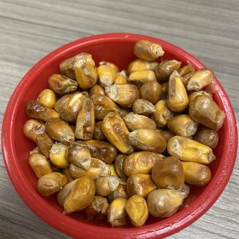 Tondero Peruvian Cuisine - Roasted corn nut - Peruvian Near Me - Pico Rivera, California Tondero Peruvian Cuisine - Roasted corn nut - Peruvian Near Me - Pico Rivera, California
