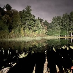 Witch's Woods - Woods