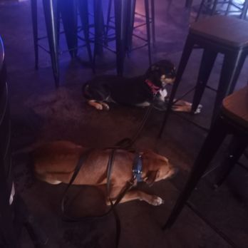 Black Clover Pub - two dogs laying on the floor - Irish Pub Near Me - San Antonio, Texas Black Clover Pub - two dogs laying on the floor - Irish Pub Near Me - San Antonio, Texas