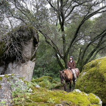 Boarding On The Lake - Horseback Riding Near Me - Granite Bay, California