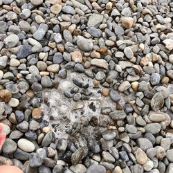 Lusk Hardscape - Stucco in my rocks. Not even near the wall.