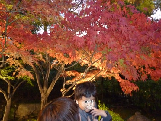 Shirotori Garden by null