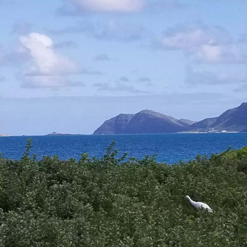 Bellows Field Beach Park - Beaches Near Me - Waimanalo, Hawaii