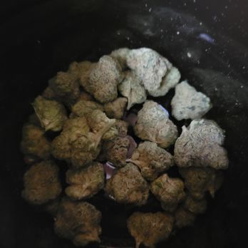Turning Leaf Centers - Northampton - Cannabis Dispensaries Near Me - Northampton, Massachusetts Turning Leaf Centers - Northampton - Cannabis Dispensaries Near Me - Northampton, Massachusetts