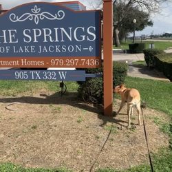 The Springs of Lake Jackson - Jax new hangout