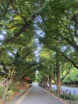SHAKE SHACK Gaien by null