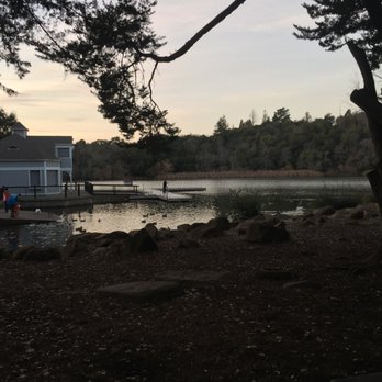 Howarth Park - POV from grilling area to the docks - Parks Near Me - Santa Rosa, California