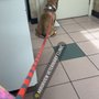 Photo of Arborview Veterinary Clinic