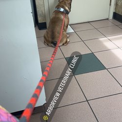 Arborview Veterinary Clinic
