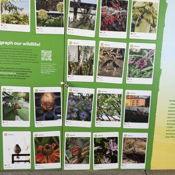 The High Line - Parks Near Me - New York, New York The High Line - Parks Near Me - New York, New York