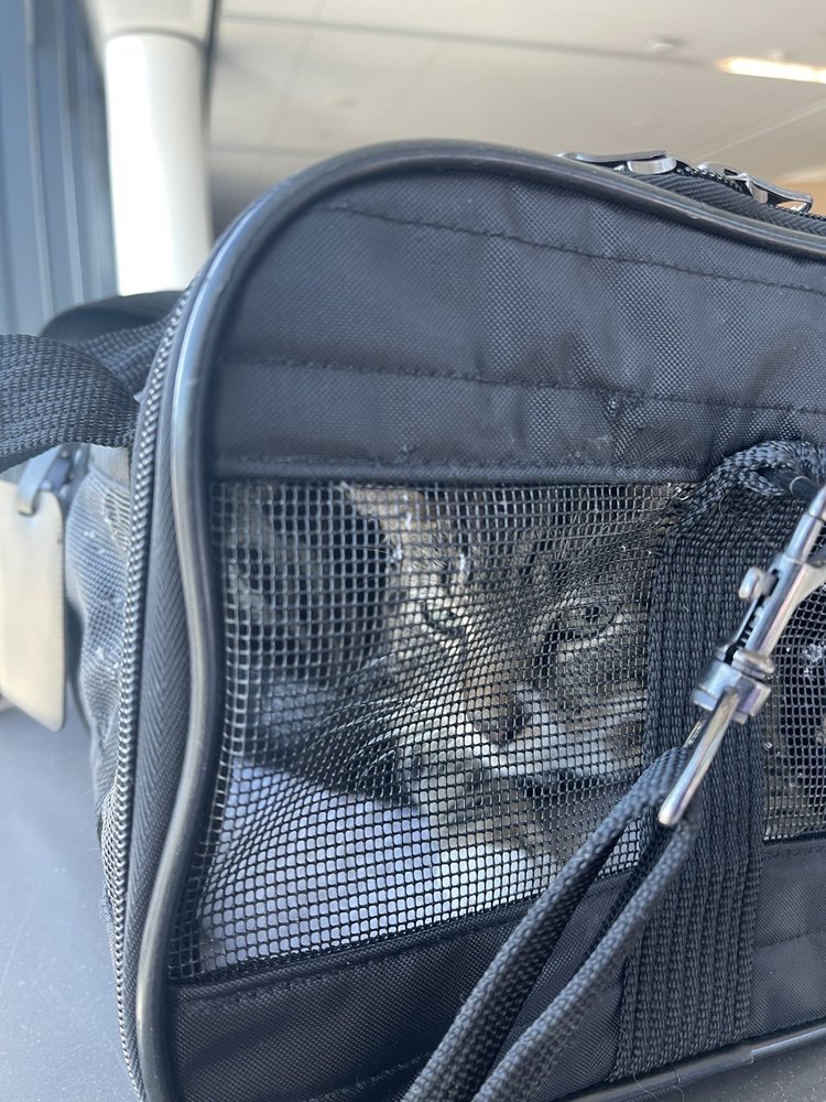 HUDSON ANIMAL HOSPITAL Updated September 2024 15 Photos & 17 Reviews 30 High St, Hudson