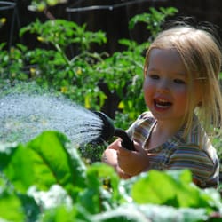 Arcadia Montessori Preschool & Kindergarten - Gardening at Arcadia