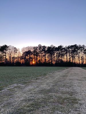 Inn at Huntingfield Creek and Getaway Cottages by null