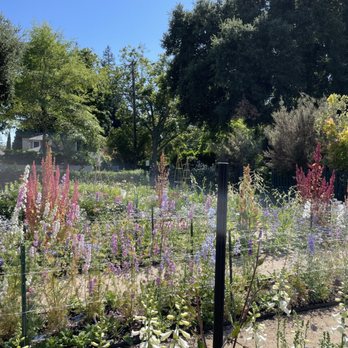 Gamble Garden - Rows of flowers - Venues & Event Spaces Near Me - Palo Alto, California