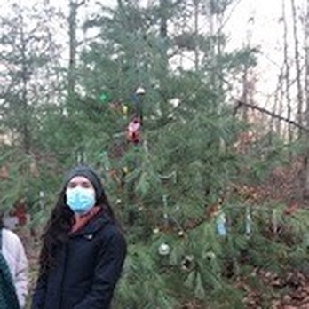 Breakheart Reservation - This isn't the sharpest photo, but some of the December Christmas decorations are visible on the tree. - Parks Near Me - Saugus, Massachusetts