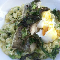 Urban Reef Restaurant - Fish with risotto (part if the special)
