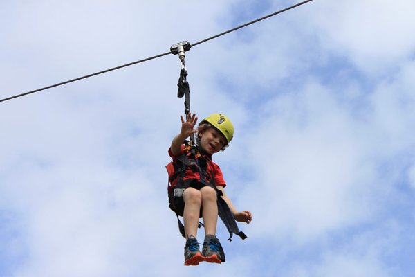 Asheville Treetops Adventure Park by null