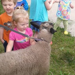 Mary's Little Lambs Child Care