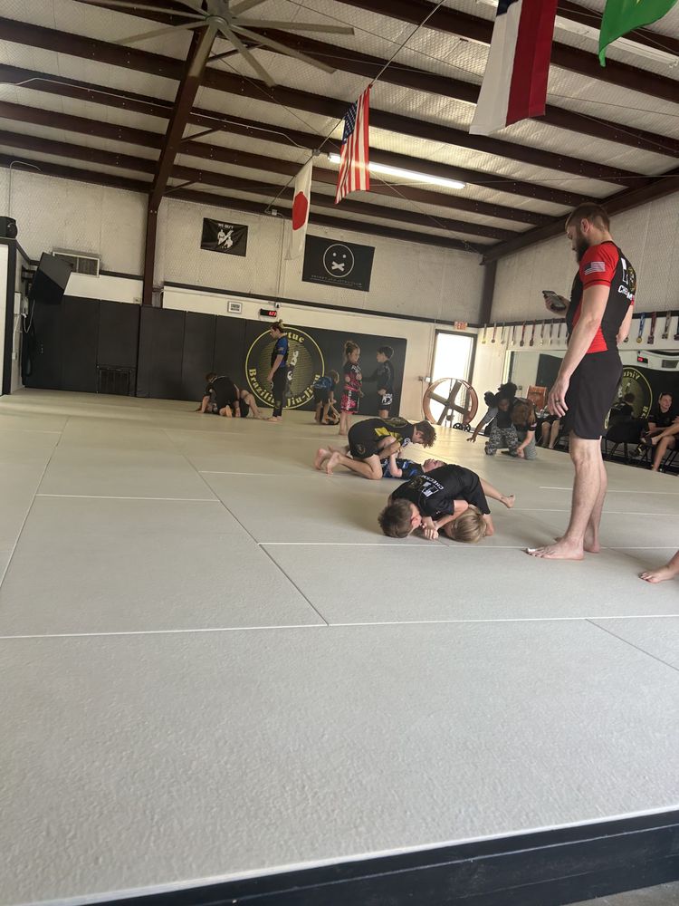 Virtue Brazilian Jiu Jitsu Logo