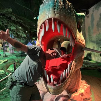 Volo Museum - Museums Near Me - Volo, Illinois Volo Museum - Museums Near Me - Volo, Illinois