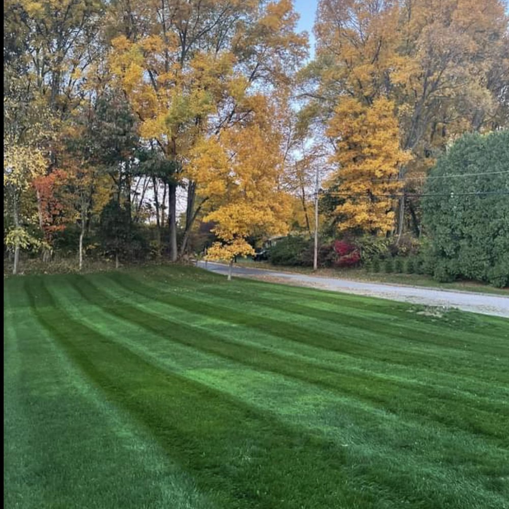 top dressing orange ct TOP 10 BEST Landscaping near Orange, CT 06477 - Updated 2026 - Quality &  Affordability