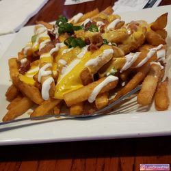 End Zone Sports Bar & Grill - Loaded fries