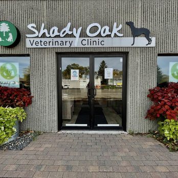 Shady Oak Veterinary Clinic - Front Entrance - Veterinarians Near Me - Minnetonka, Minnesota Shady Oak Veterinary Clinic - Front Entrance - Veterinarians Near Me - Minnetonka, Minnesota