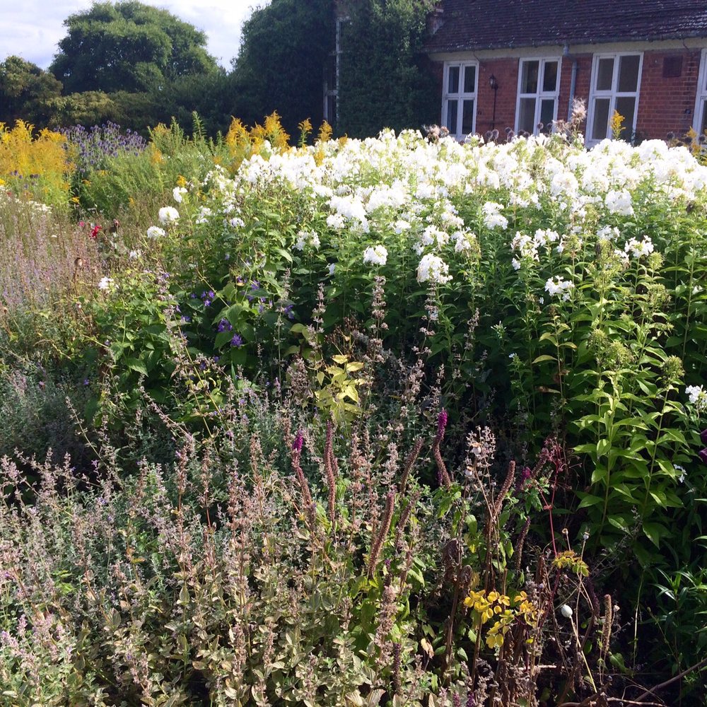 Winterbourne House and Garden - Botanical Gardens Near Me - Birmingham, XWM