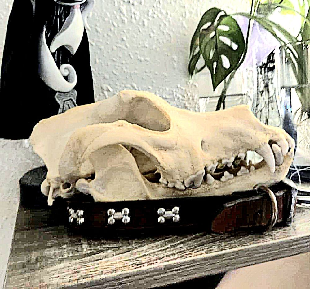 Dark Acres - taxidermy in Eufaula, OK