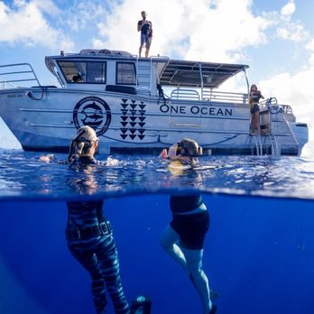 One Ocean Diving - Free Diving Near Me - Haleiwa, Hawaii