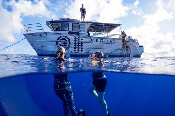 One Ocean Diving by null