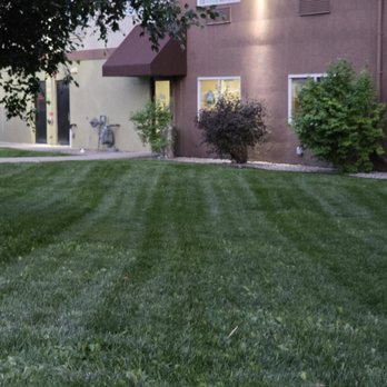 Offshoots Landscaping - Landscaping Near Me Offshoots Landscaping - Landscaping Near Me