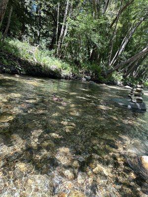 Big Sur River Inn by null