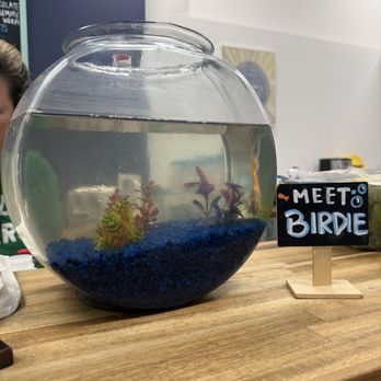 Birds Nest Cafe - Birdie the goldfish - Cafes Near Me - New Orleans, Louisiana