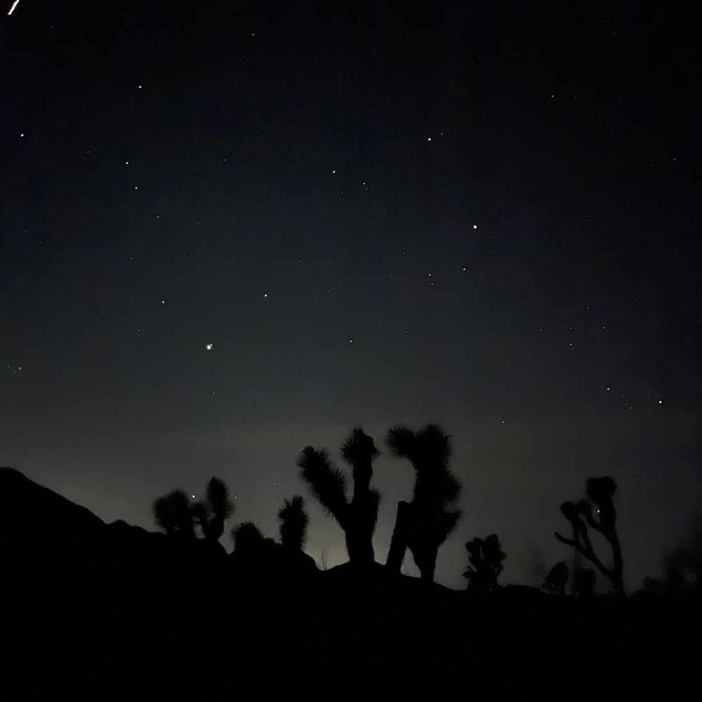 Crossroads Cafe - Star gazing in the park after dinner - Cafes Near Me - Joshua Tree, California Crossroads Cafe - Star gazing in the park after dinner - Cafes Near Me - Joshua Tree, California