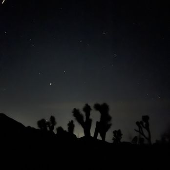 Crossroads Cafe - Star gazing in the park after dinner - Cafes Near Me - Joshua Tree, California Crossroads Cafe - Star gazing in the park after dinner - Cafes Near Me - Joshua Tree, California