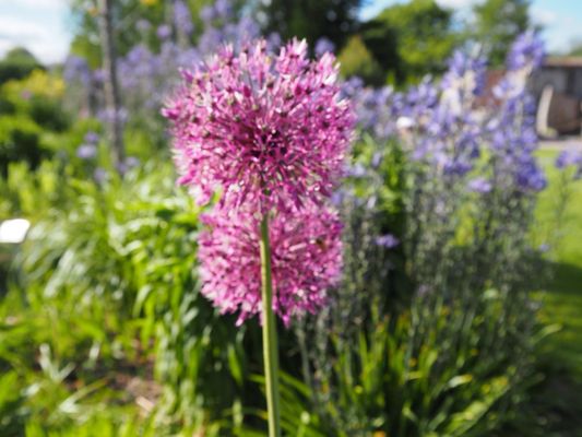 Tropical Greenhouse by null
