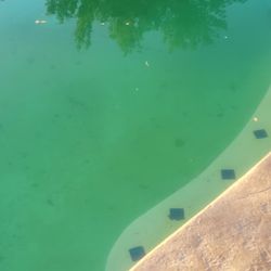 Seal Pool Supply