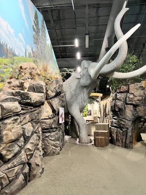 Columbia Gorge Discovery Center & Museum by null