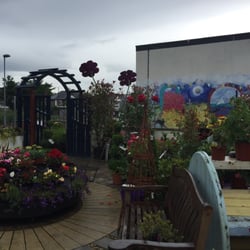 The Avenue Garden Centre