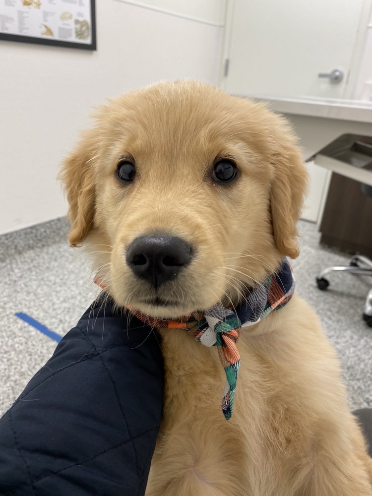 VETERINAIRE PET CARE 46 Photos 119 Reviews 201 Marin Blvd Jersey