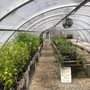 Photo of Erin's Meadow Herb Farm