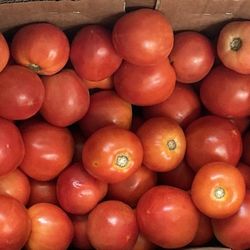 Stuckmeyer Plants & Produce - Looks good until you cut them open.