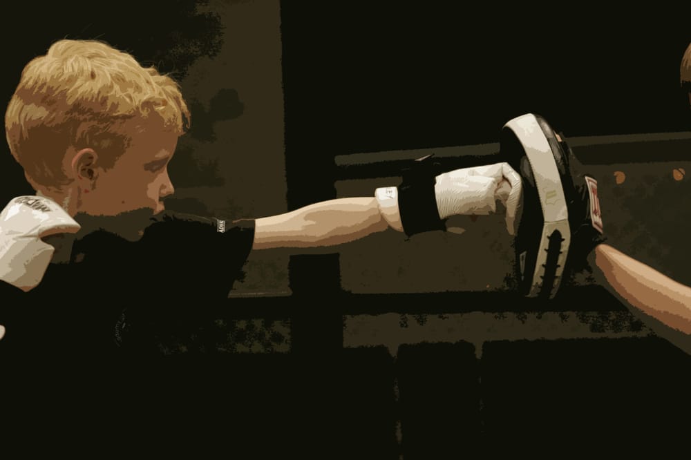 Academy of Modern Martial Arts Logo