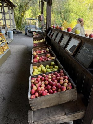 The Apple Farm by null