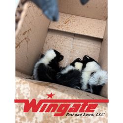 Wingate Pest and Lawn