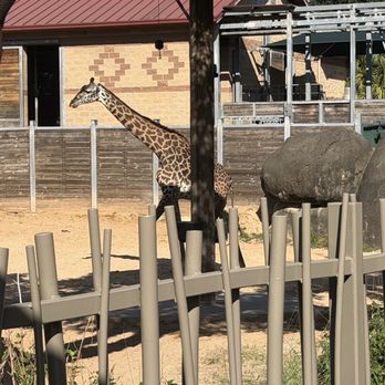 Houston Zoo - Zoos Near Me - Houston, Texas